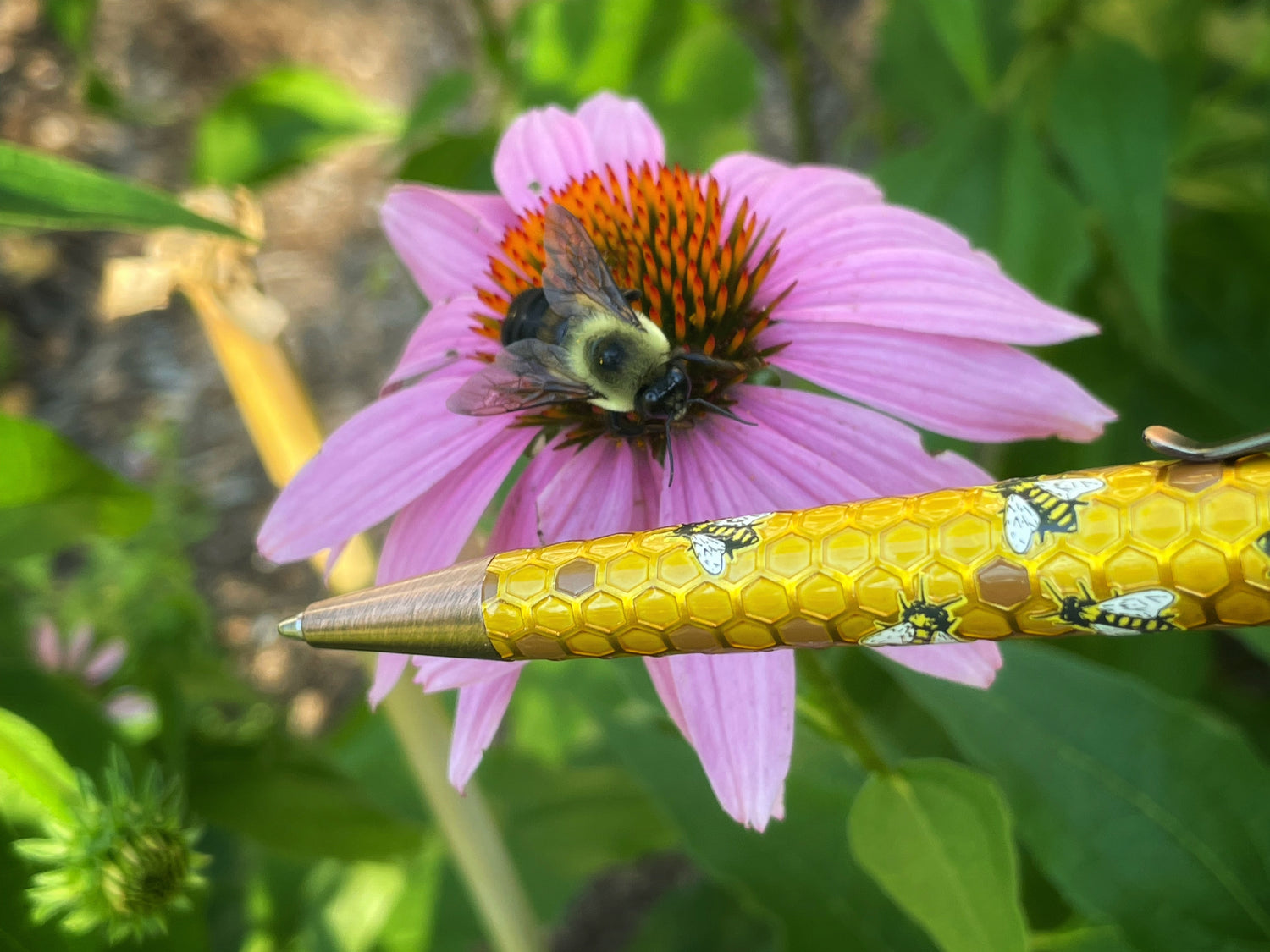 Staff Picks, Part One! - Retro 51 Tornado Buzz