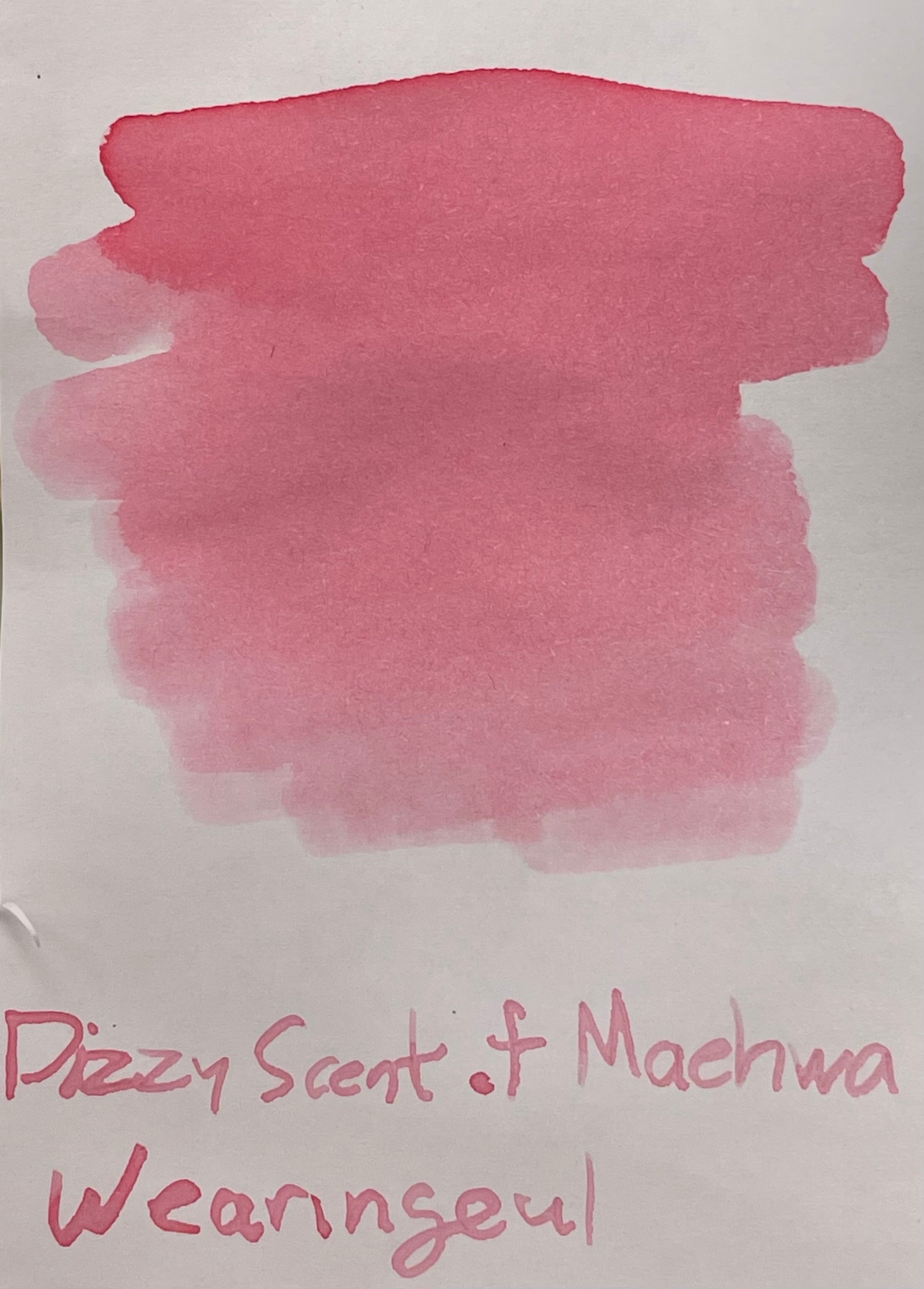 Wearingeul Korean Literature Ink Bottle - Dizzy Scent of Maehwa (30 ml) - Pen Boutique Ltd