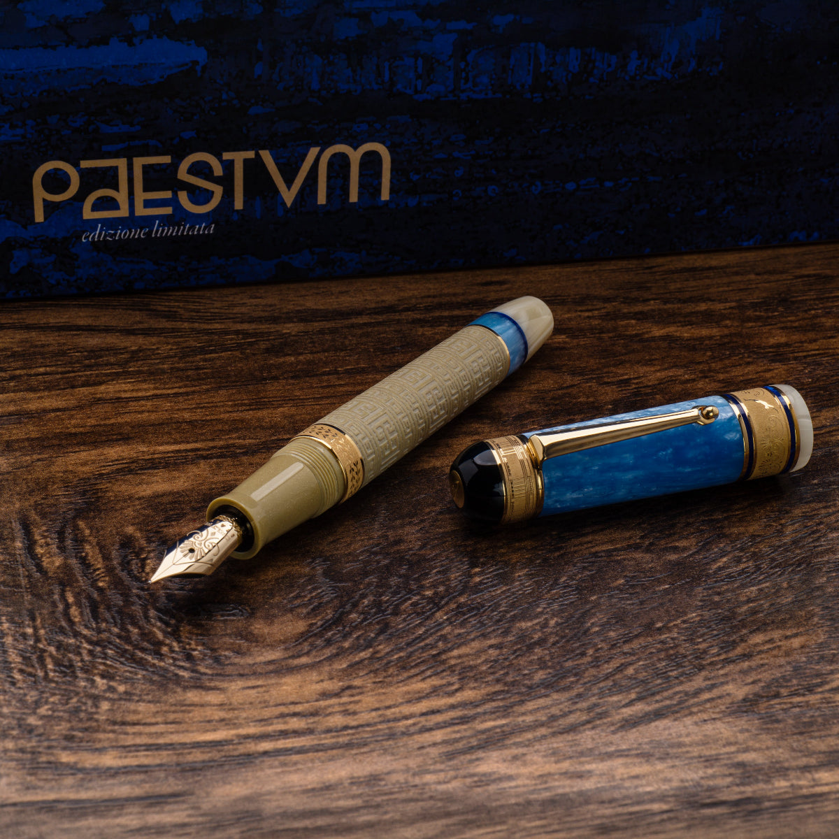 Delta Paestum Fountain Pen - 14K Nib (Limited Edition)-Pen Boutique Ltd