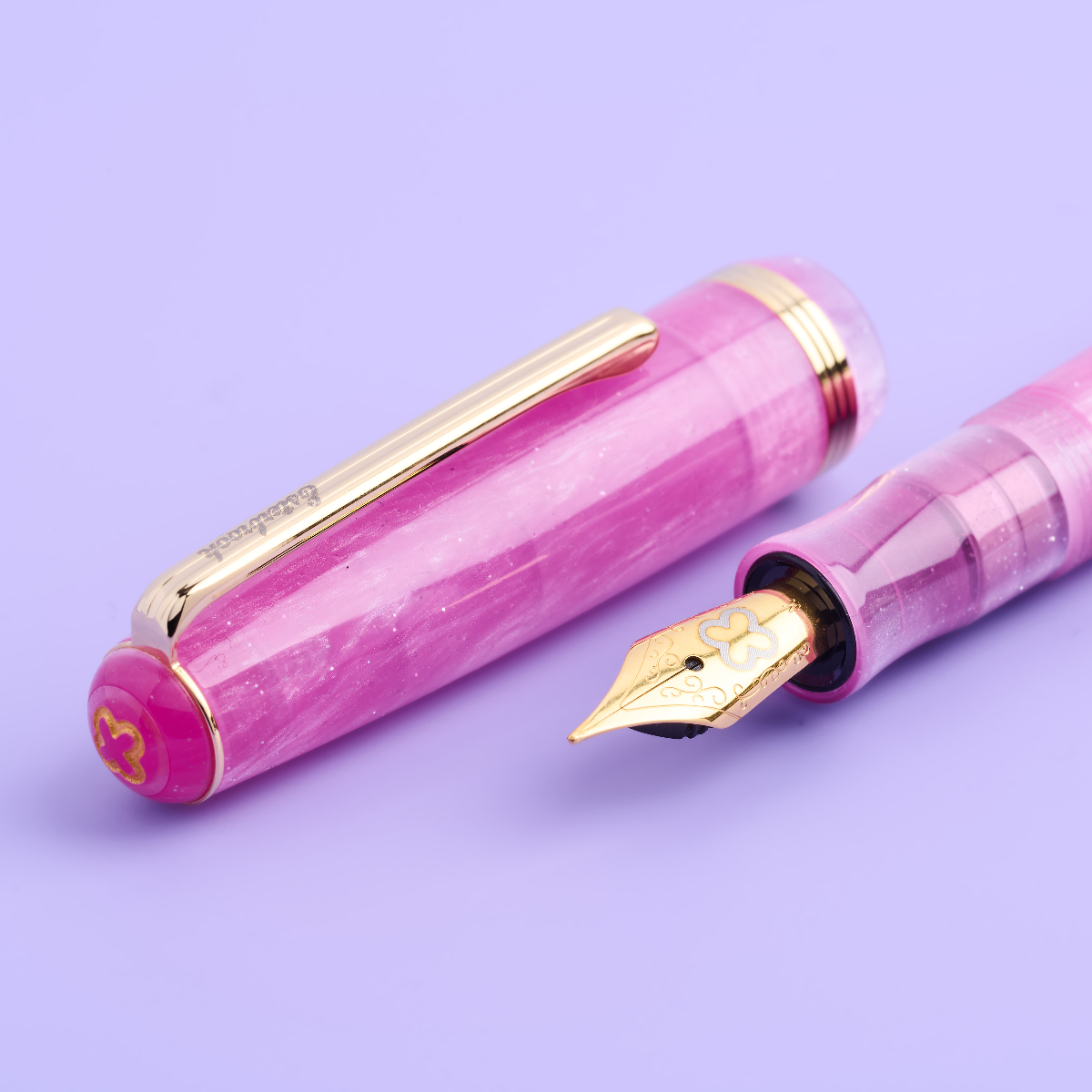 Esterbrook JR Fountain Pen - Love Potion - Gold Trim (Valentine's Day Special Release)-Pen Boutique Ltd