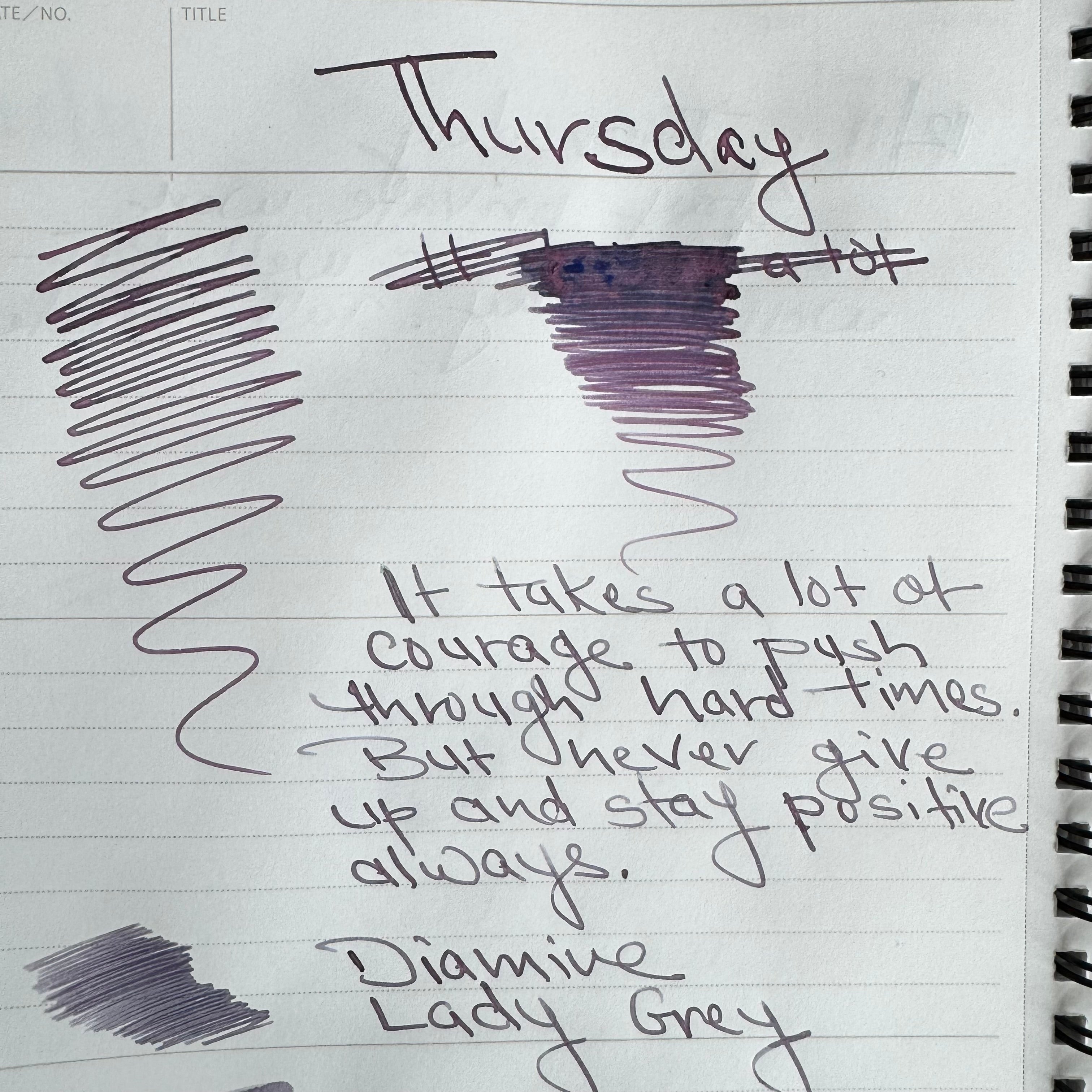 Diamine Ink Bottle - Lady Grey (Reddit 2025) - 80 ml-Pen Boutique Ltd