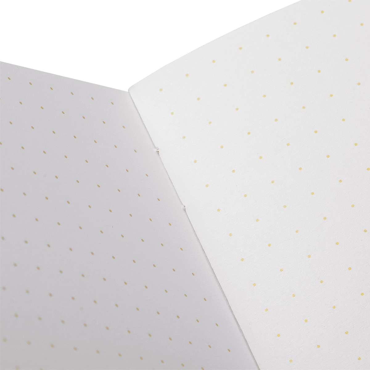 Field Notes Memo Book - Summer 2026 Paletas 3-Pack B (71st Quarterly Limited Edition) - Pen Boutique Ltd