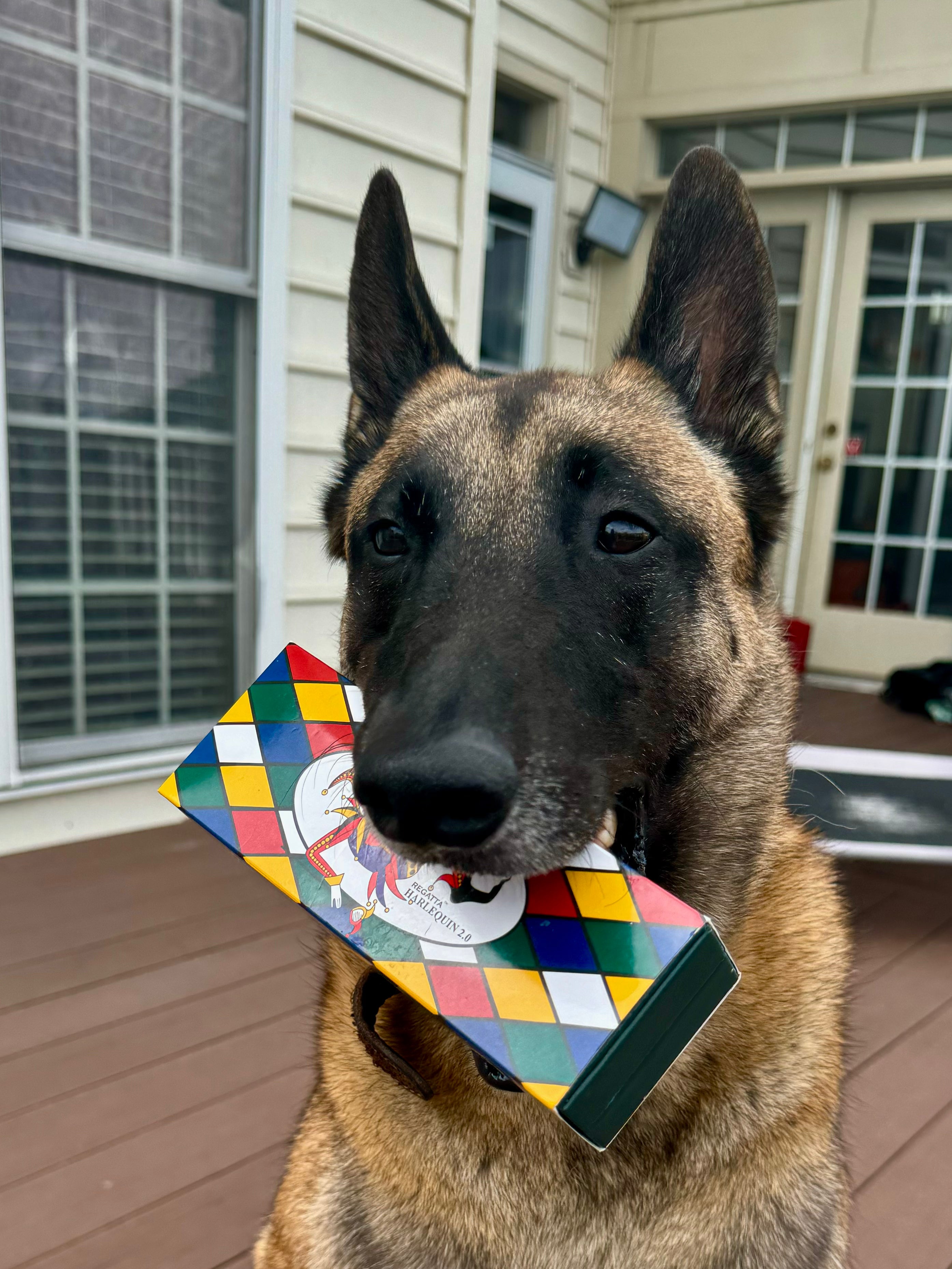 Monteverde Regatta Fountain Pen - Harlequin 2.0-Pen Boutique Ltd