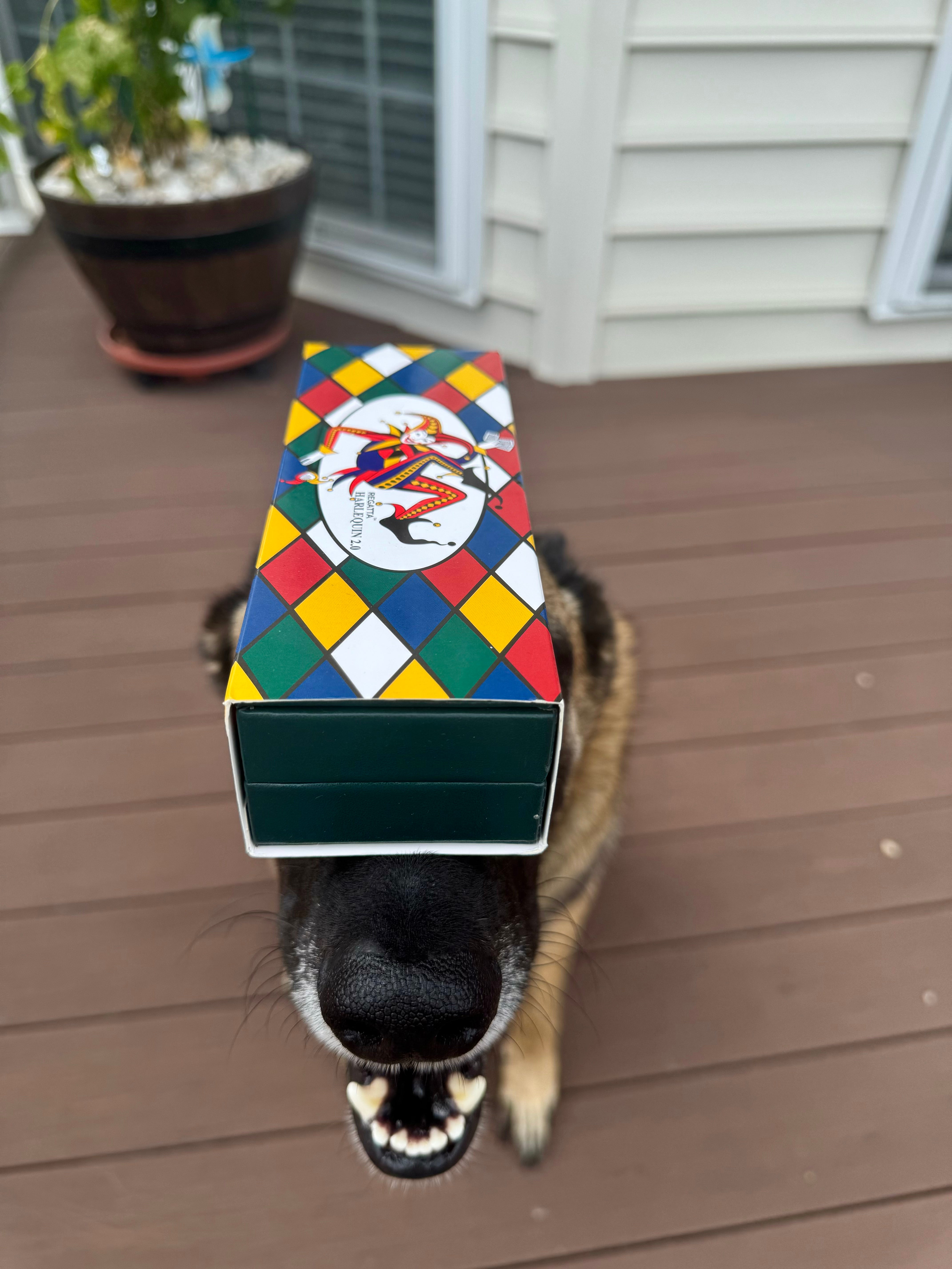 Monteverde Regatta Fountain Pen - Harlequin 2.0-Pen Boutique Ltd