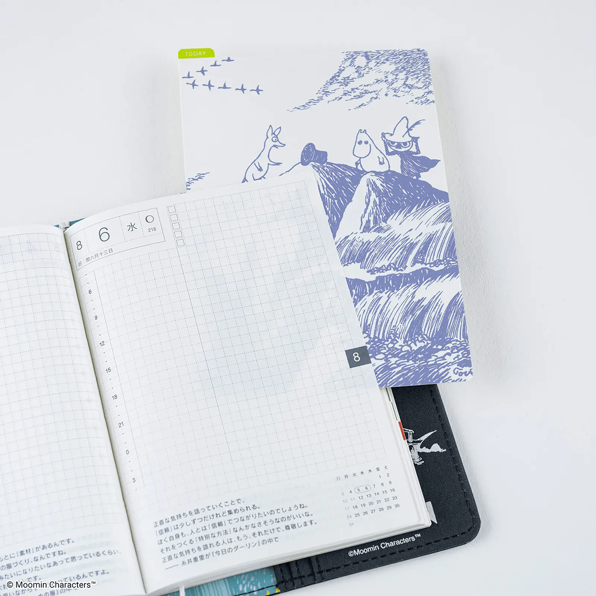 Hobonichi Pencil Board - Moomin - A6 (Mysterious Hat) - Pen Boutique Ltd