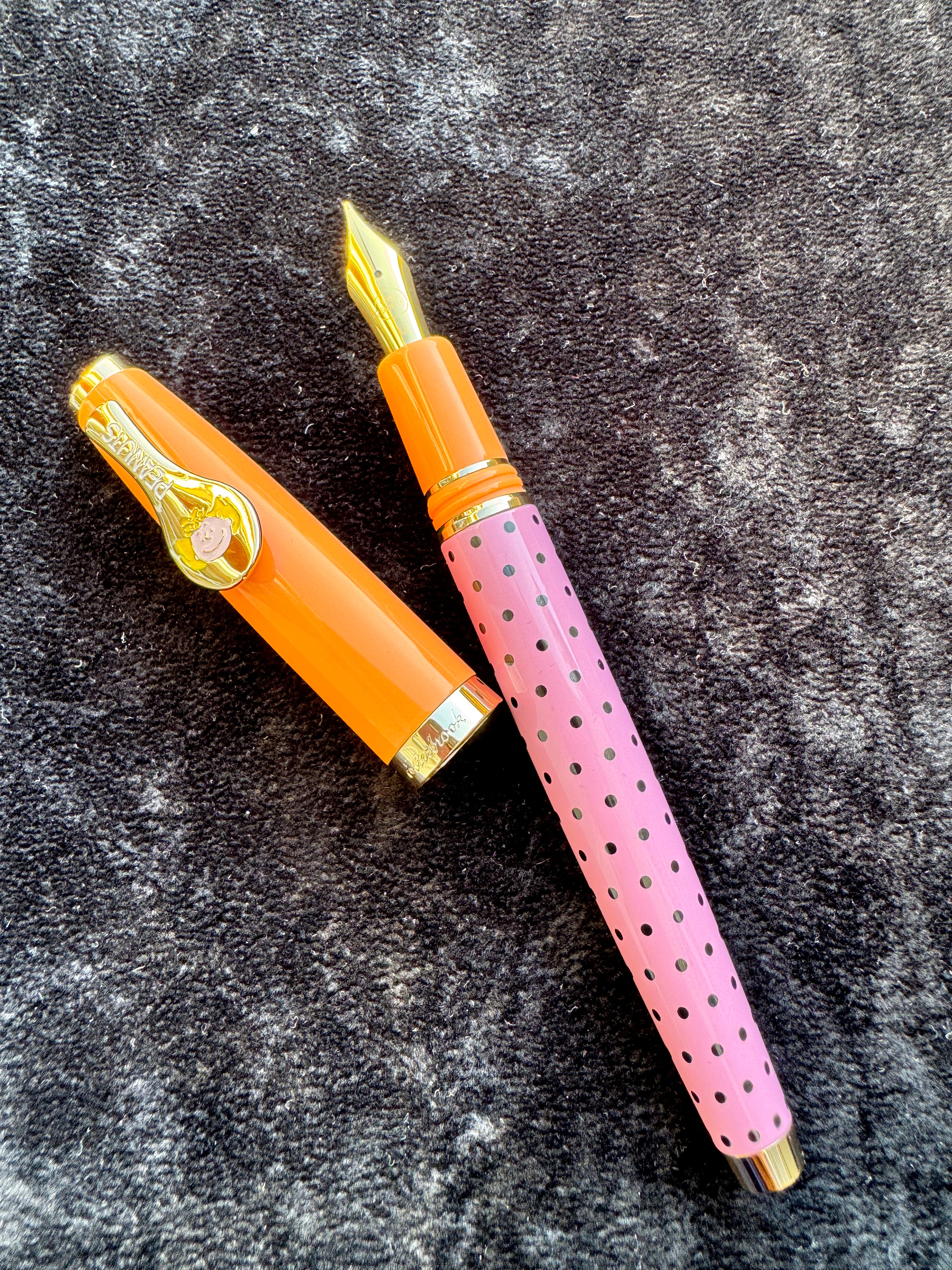 Esterbrook x Peanuts Estie Fountain Pen - FRIENDS Sally (75th Anniversary)