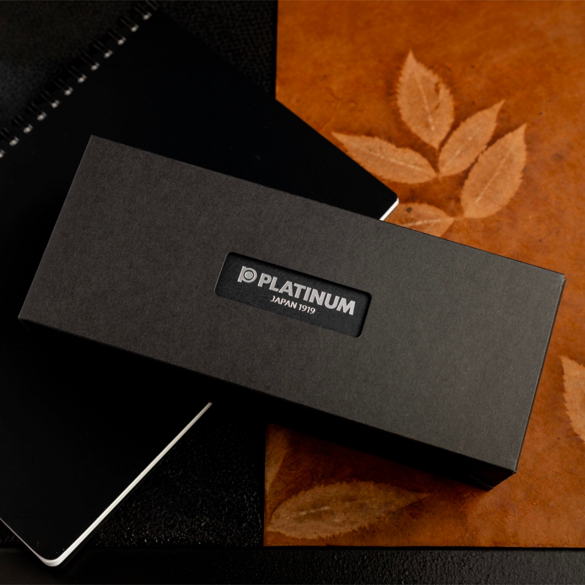 Platinum #3776 Century Ver 2.0 Fountain Pen - Demonstrator (Limited Edition)-Pen Boutique Ltd