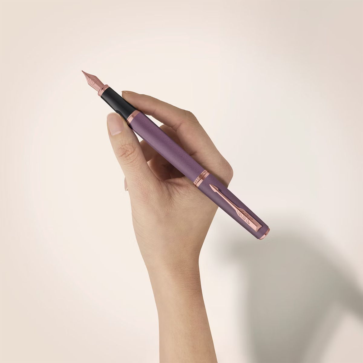 Parker Meridian Fountain Pen - Purple - Gold Trim