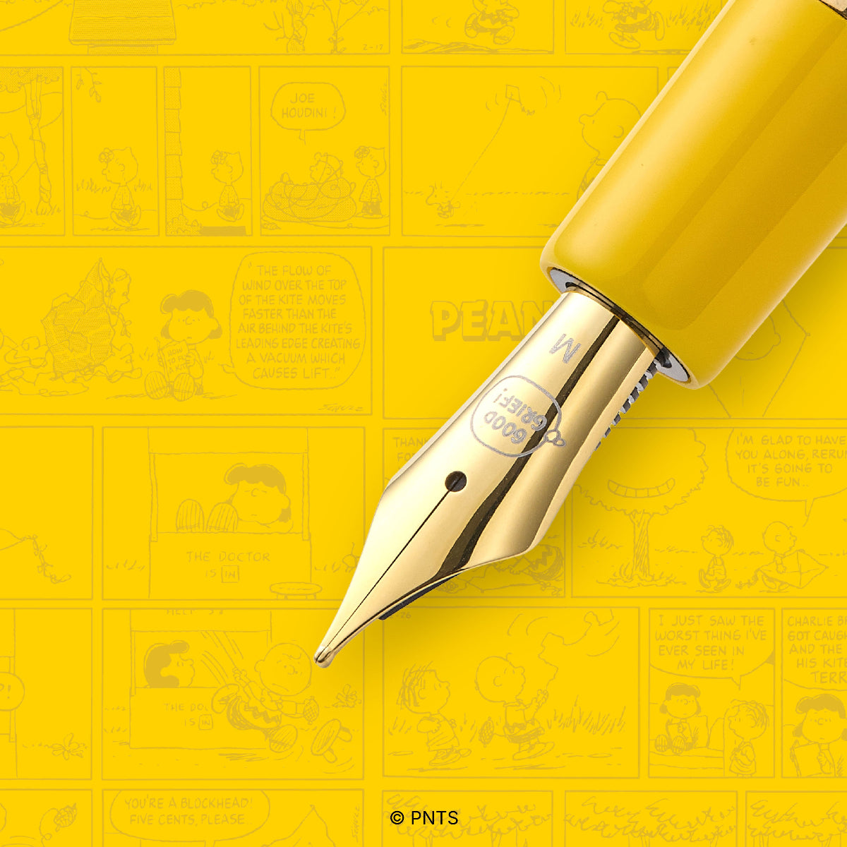 Peanuts x Esterbrook Estie Fountain Pen - FRIENDS Charlie Brown (75th Anniversary)-Pen Boutique Ltd