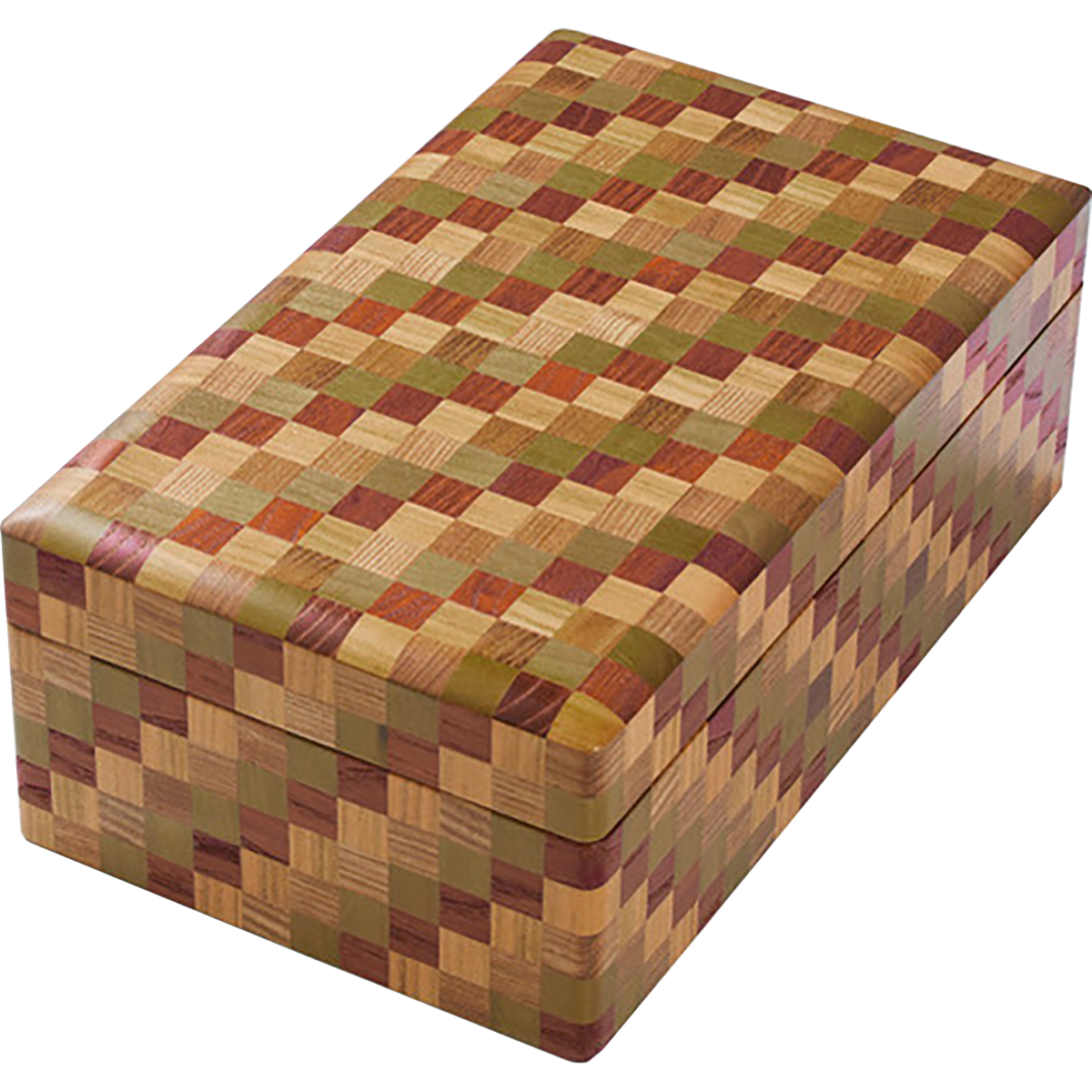 Sailor Limited Edition Fountain Pen - King Of Pens - Japanese Classical Performing Arts - Shakkyo (Overseas Exclusive)-Pen Boutique Ltd