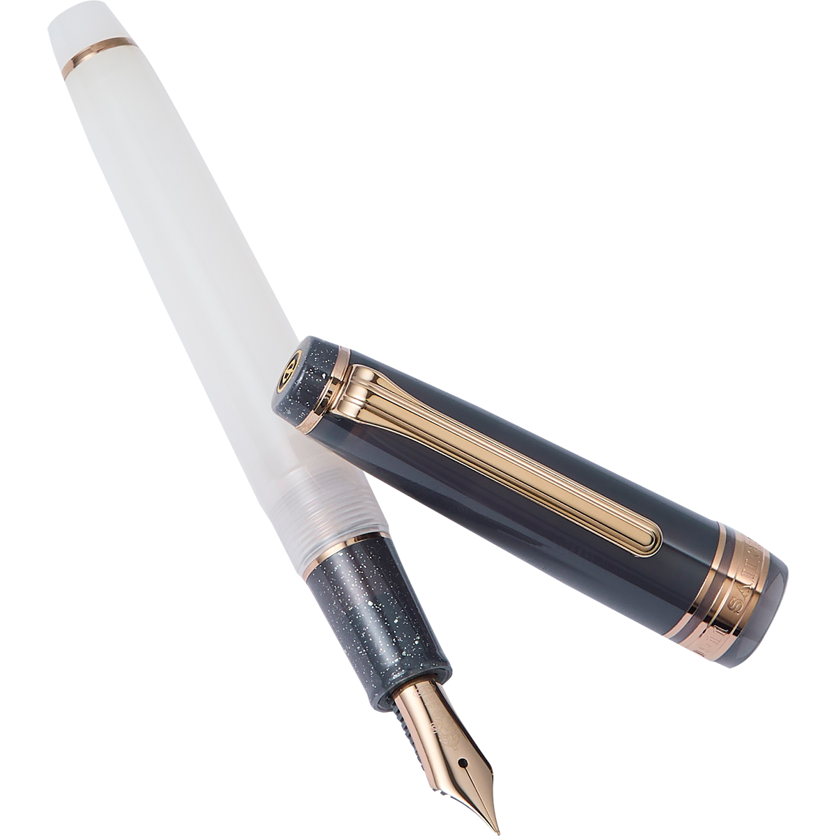 Sailor Professional Gear Fountain Pen - Slim - Dried Flower 2 Black Rose-Pen Boutique Ltd