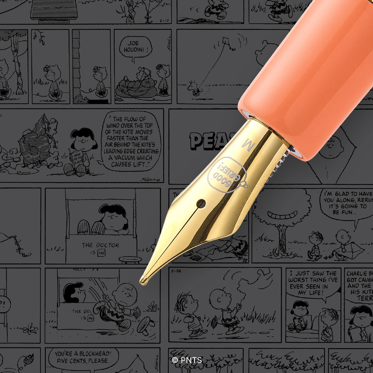 Peanuts x Esterbrook Estie Fountain Pen - FRIENDS Sally (75th Anniversary)-Pen Boutique Ltd