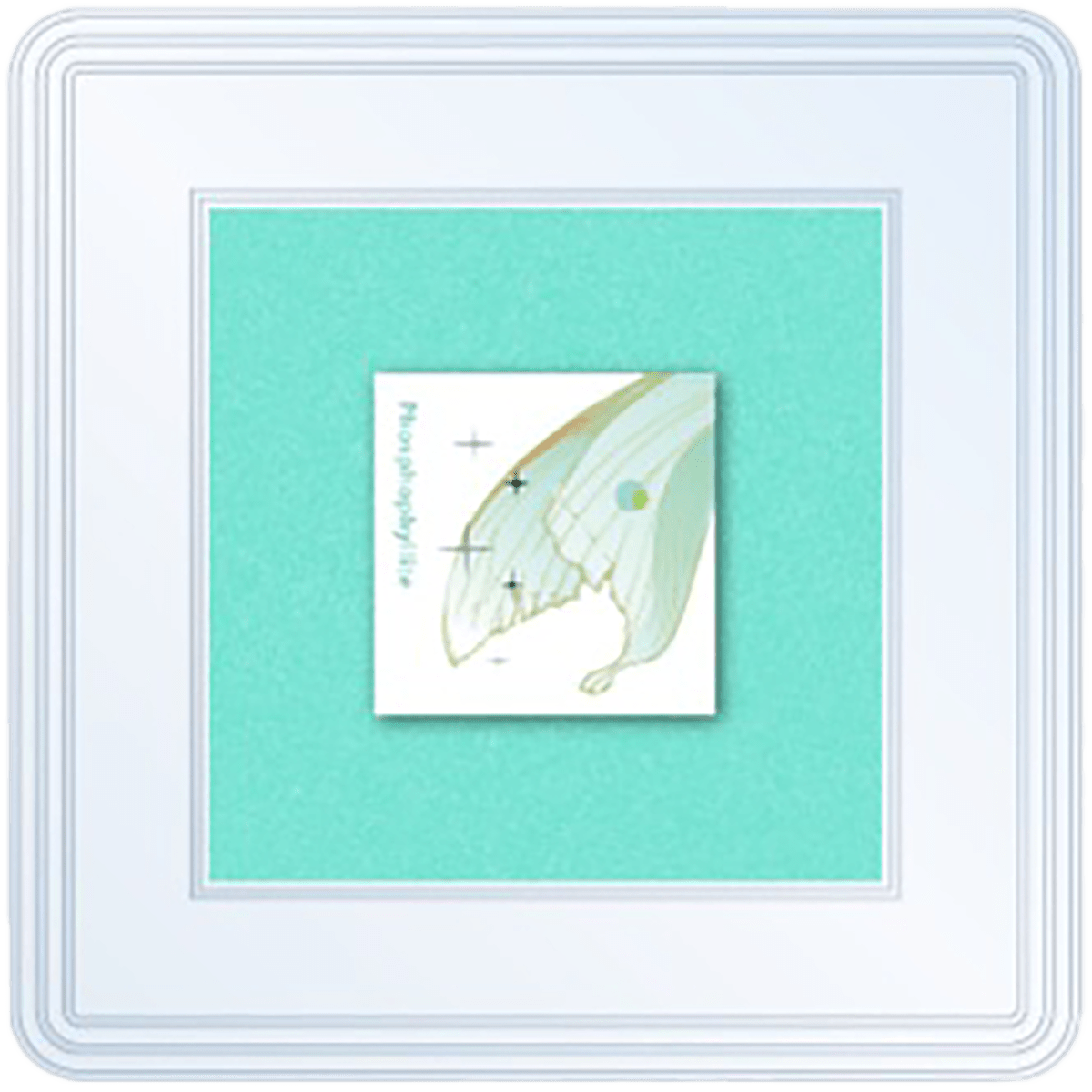 Tono & Lims - Stamp Pad Earth Contact - Phosphophyllite - Pen Boutique Ltd