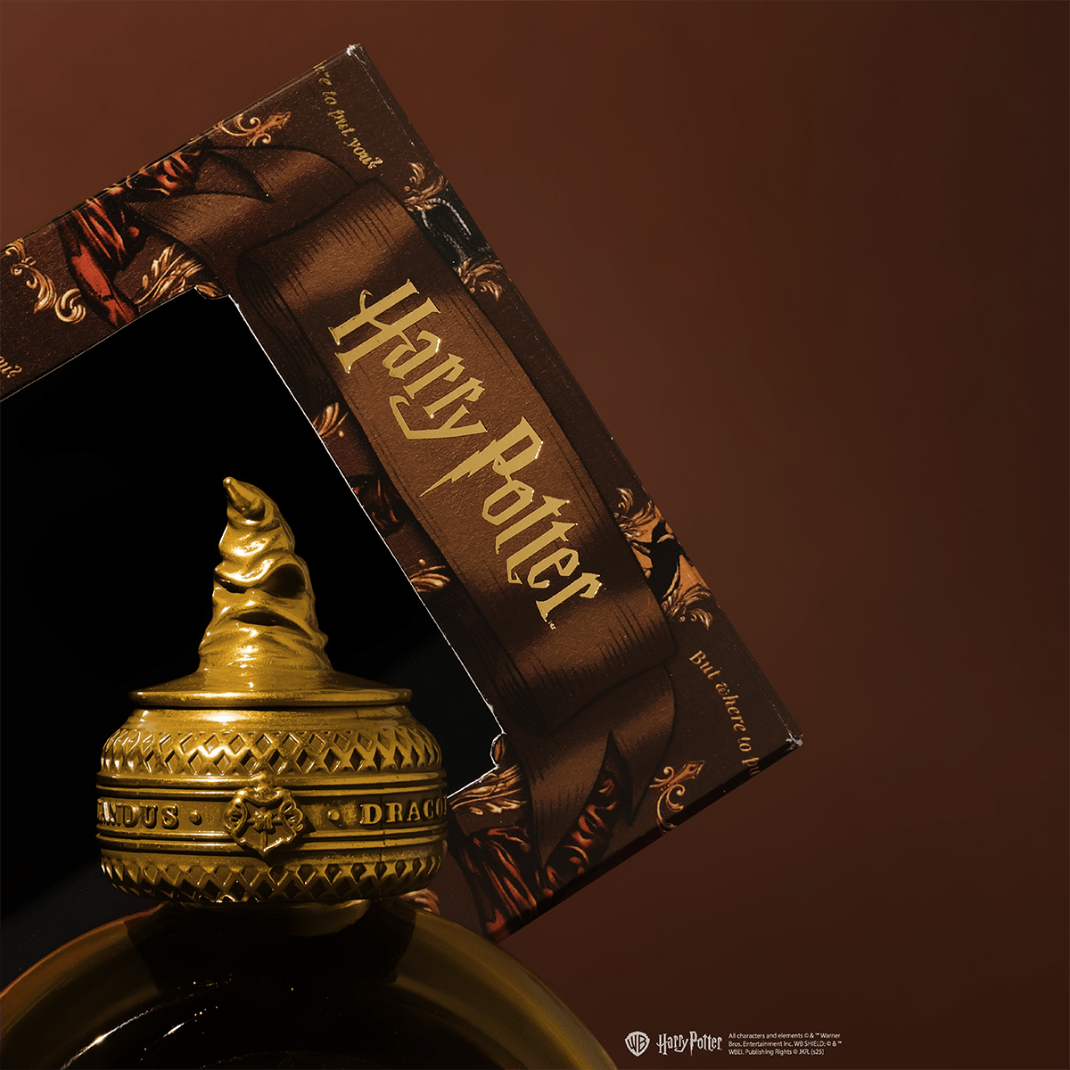 Ferris Wheel Press x WB Ink Bottle - Harry Potter The Sorting Hat - 2543 - 38ml - Pen Boutique Ltd