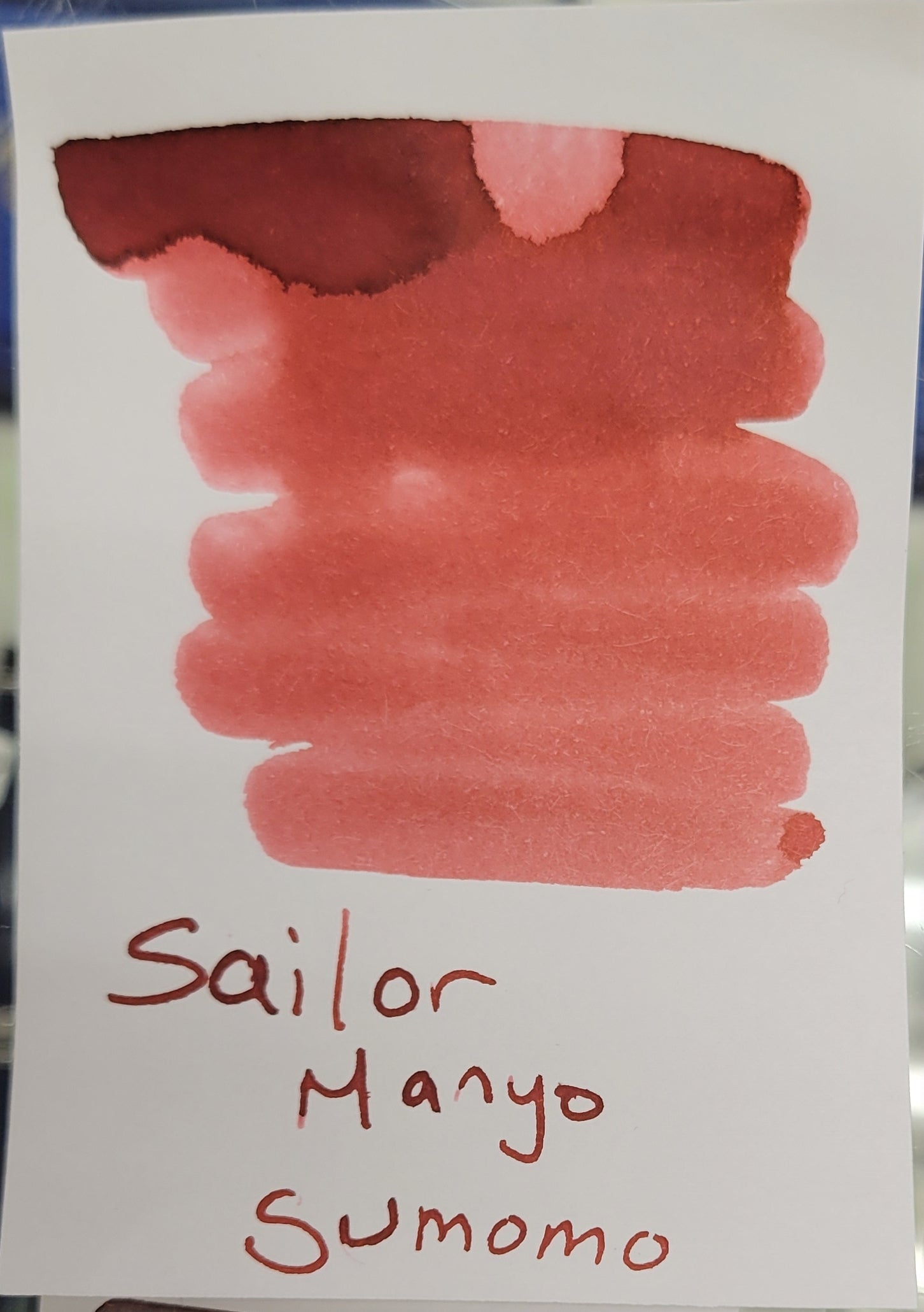 Sailor Manyo Ink Bottle - Sumomo (Cherry Blossom) - 50ml (Overseas Exclusive)-Pen Boutique Ltd