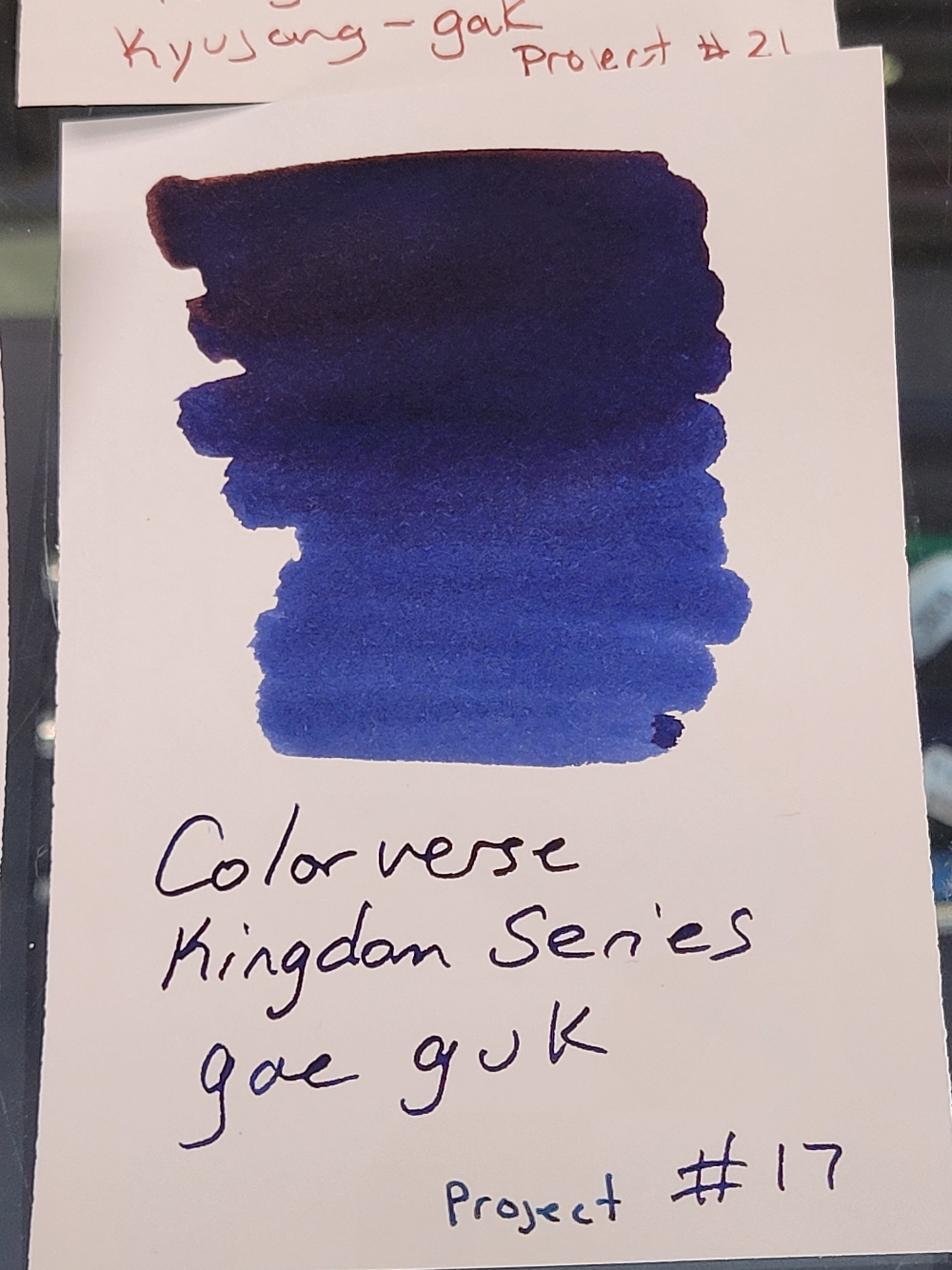 Colorverse Kingdom Ink - Project No. 17 - 30ml - Pen Boutique Ltd