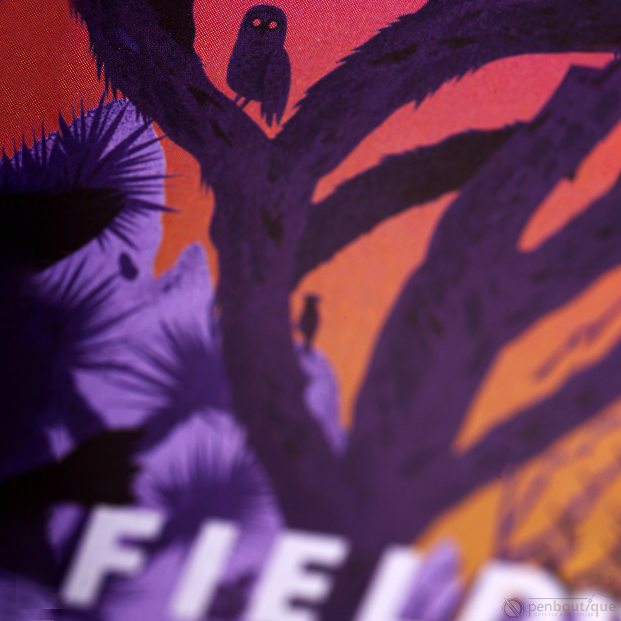 Field Notes Summer National Parks Edition 3-pack 3.5" x 5.5"-Pen Boutique Ltd