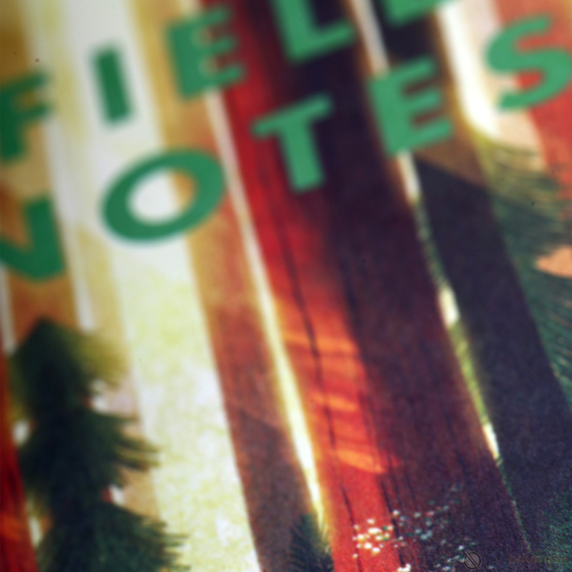 Field Notes Summer National Parks Edition 3-pack 3.5" x 5.5"-Pen Boutique Ltd