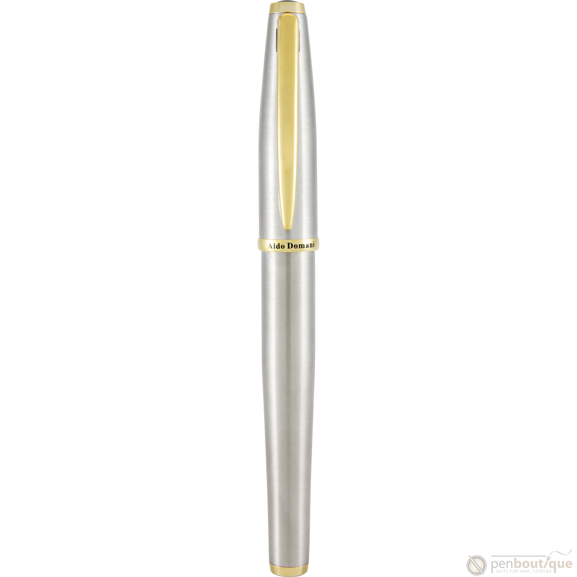 Monteverde Aldo Domani Fountain Pen - Brushed-Pen Boutique Ltd