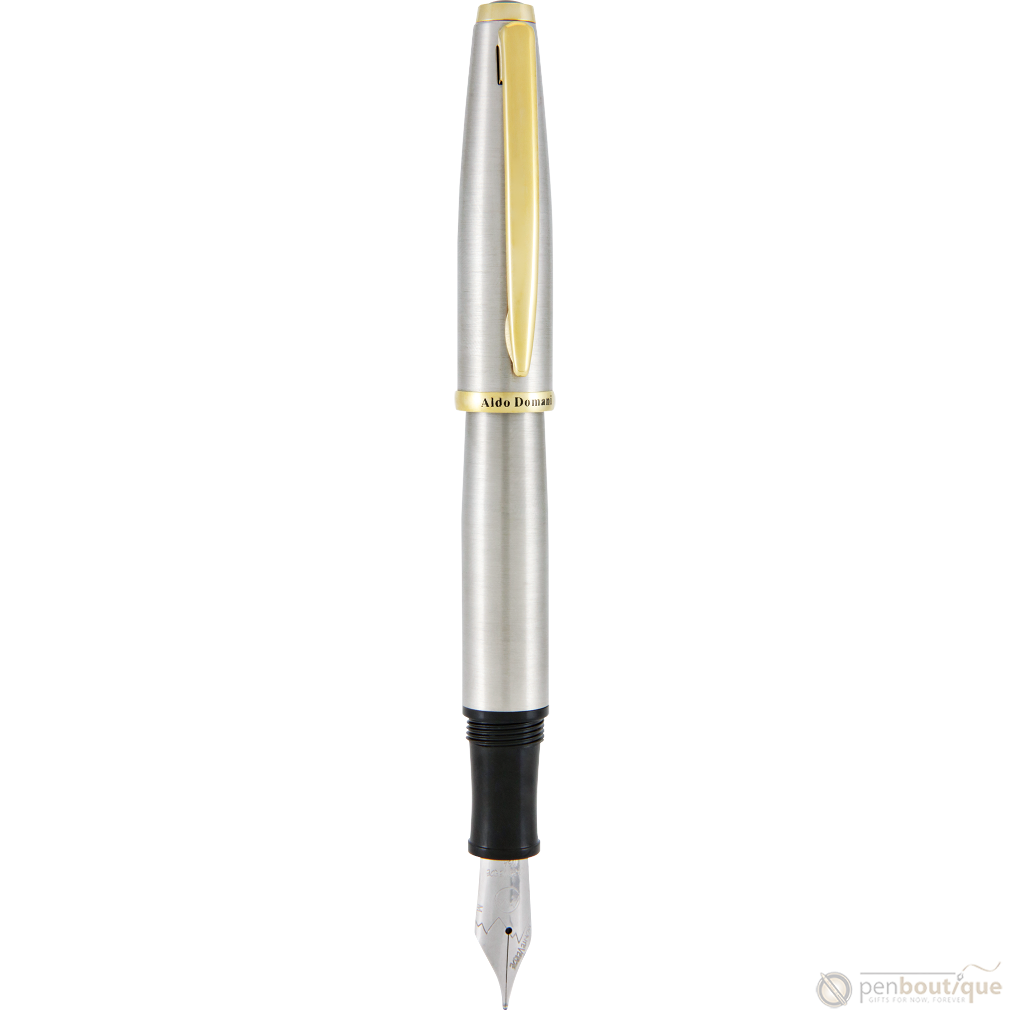 Monteverde Aldo Domani Fountain Pen - Brushed-Pen Boutique Ltd
