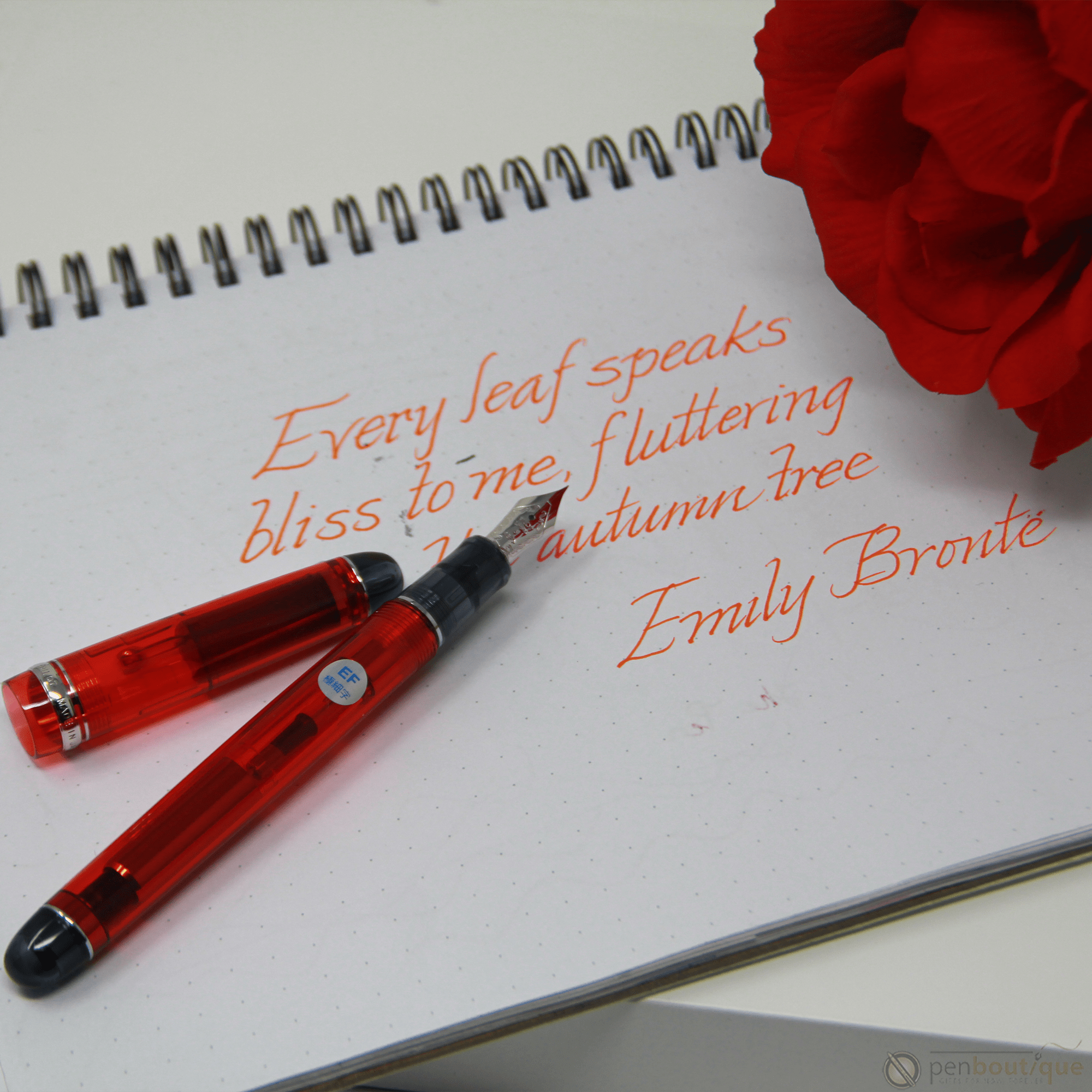 Pilot Custom 74 Fountain Pen - Grenadine - Pen Boutique Ltd