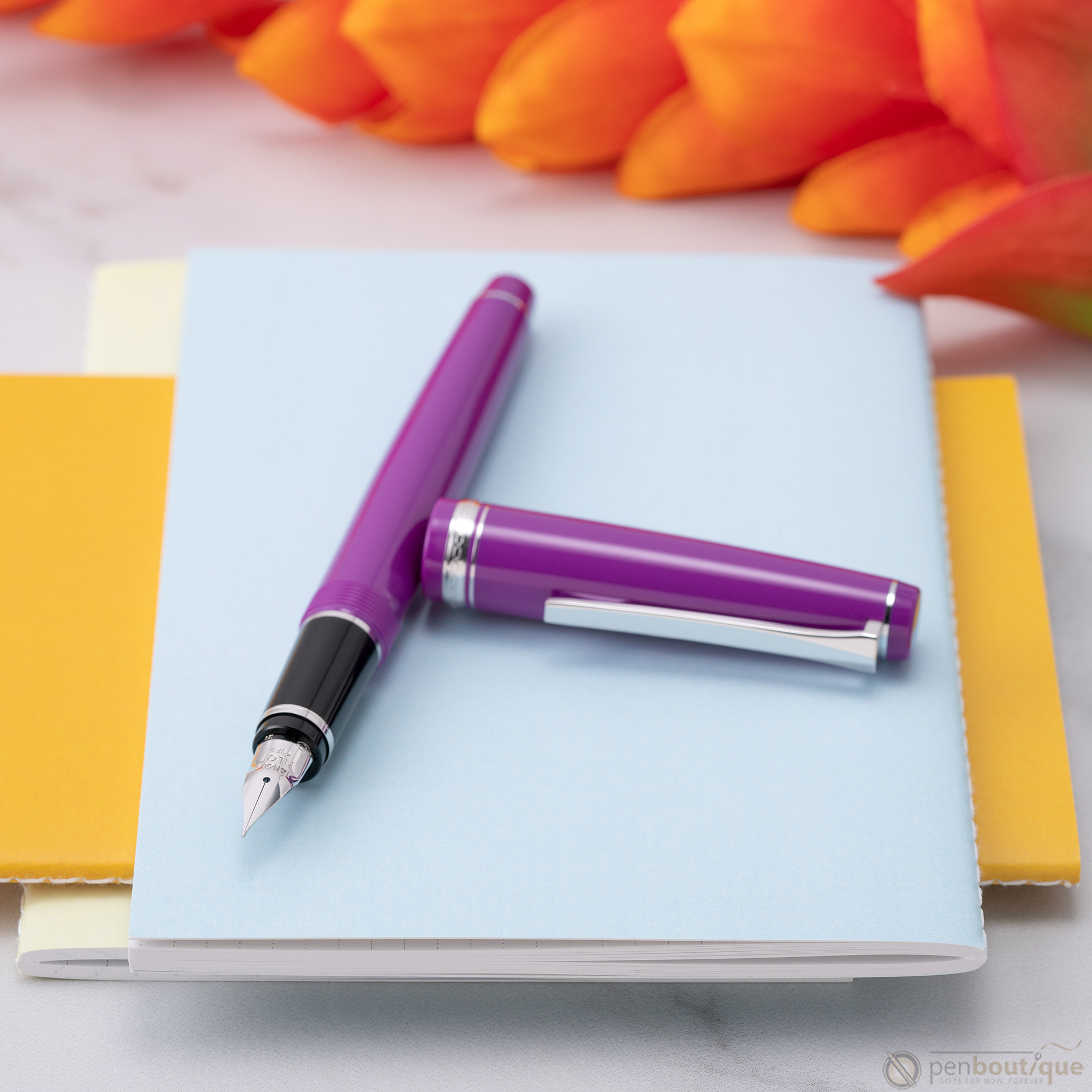 Pilot Falcon Fountain Pen - Plum Purple - Rhodium Trim-Pen Boutique Ltd