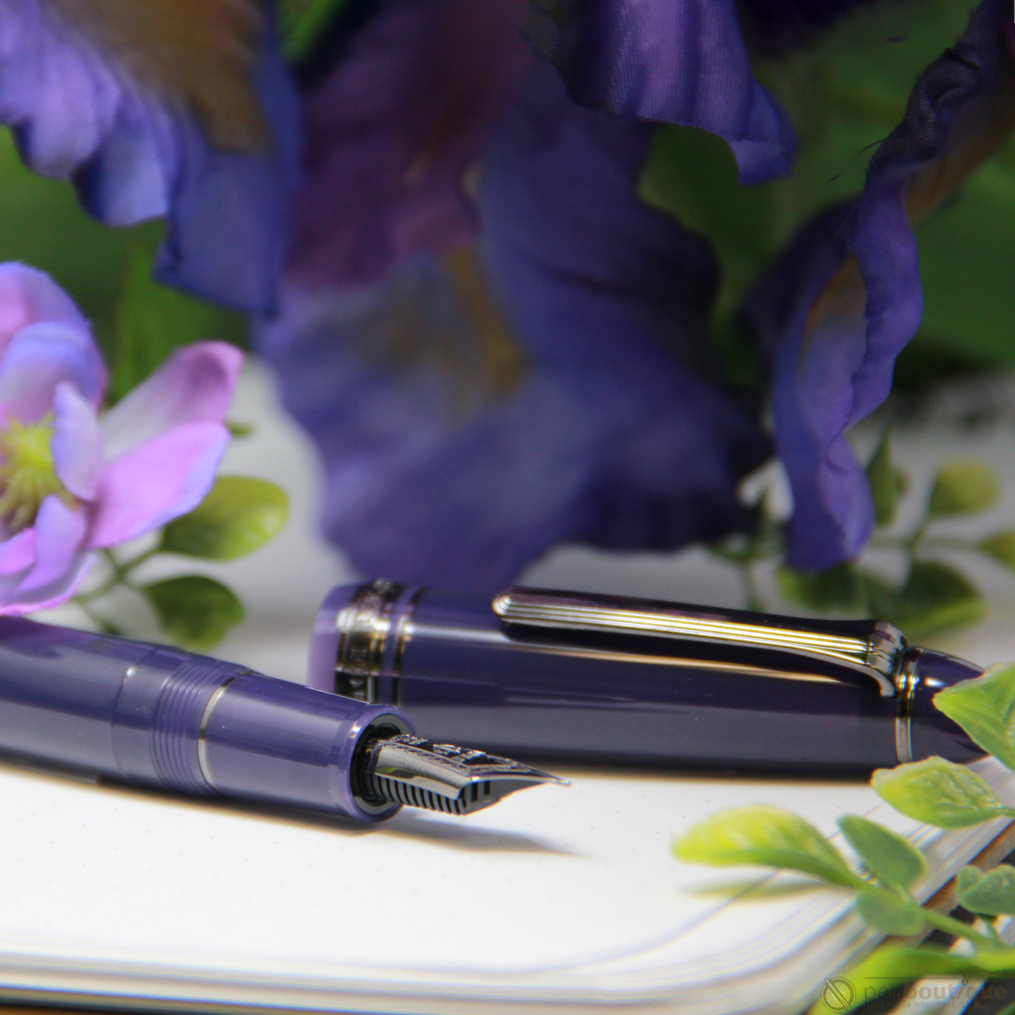 Sailor 1911S Standard Fountain Pen - Wicked Witch of the West (North America Exclusive)-Pen Boutique Ltd