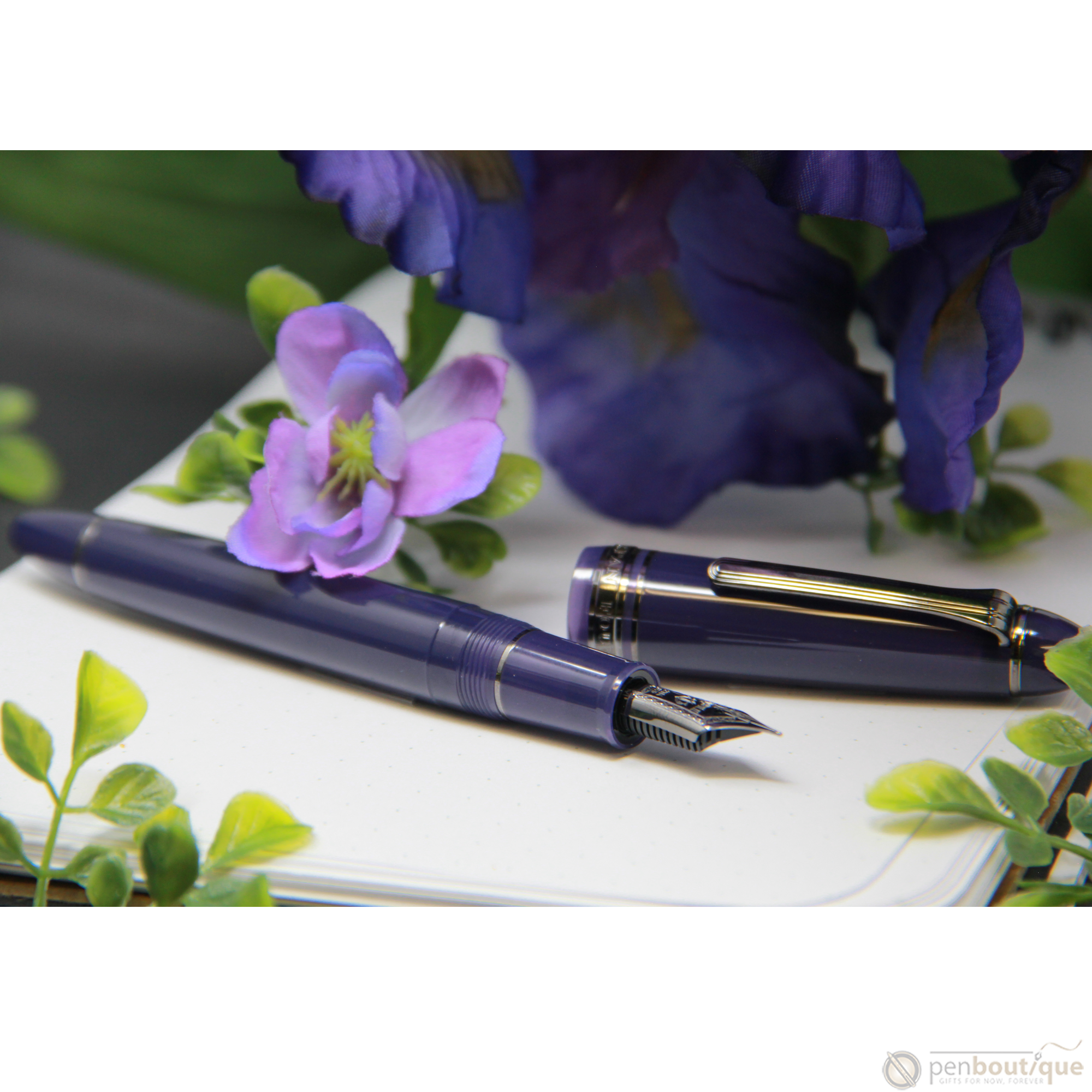 Sailor 1911S Standard Fountain Pen - Wicked Witch of the West (North America Exclusive)-Pen Boutique Ltd