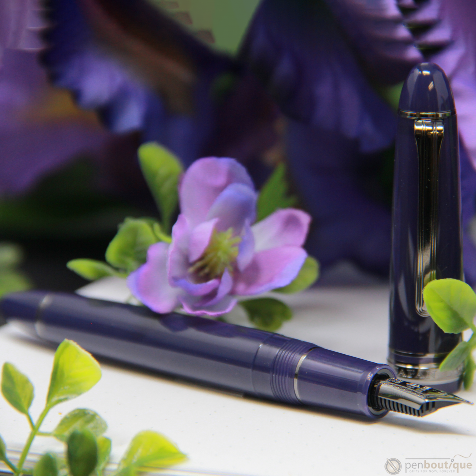 Sailor 1911S Standard Fountain Pen - Wicked Witch of the West (North America Exclusive)-Pen Boutique Ltd