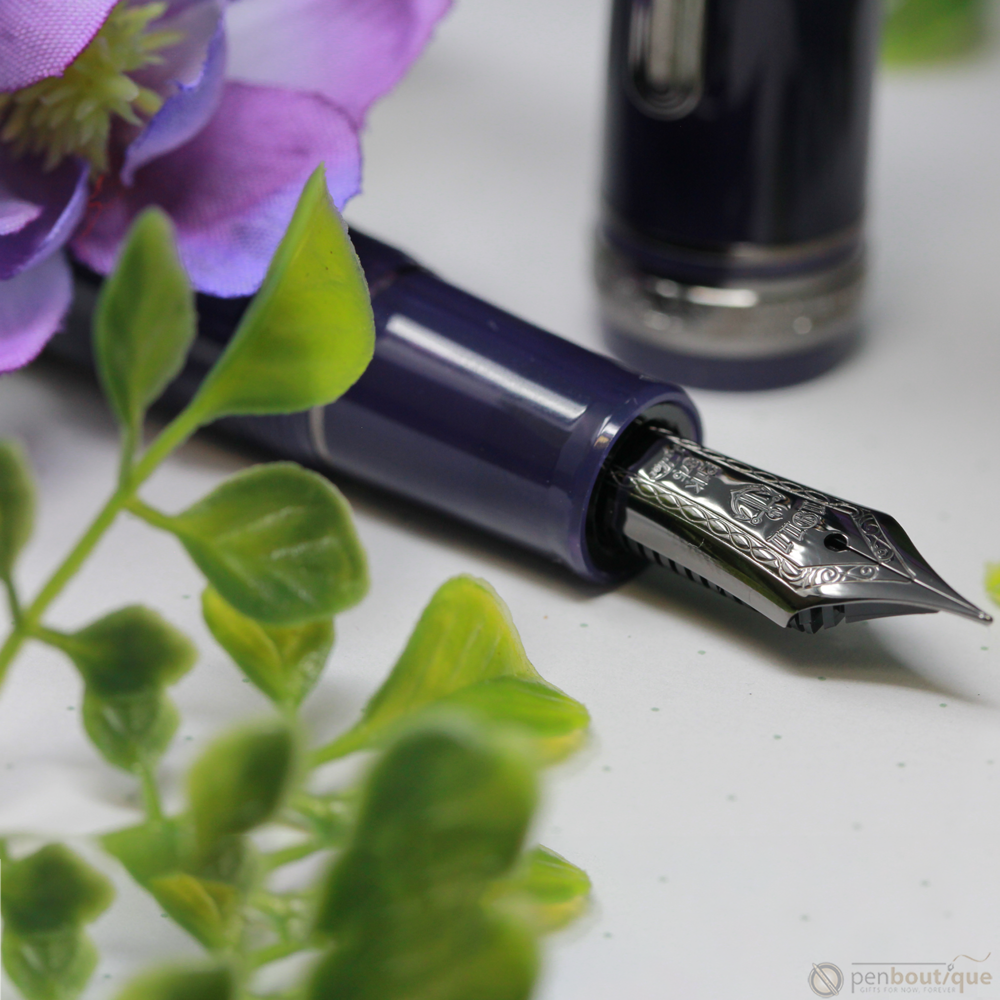 Sailor 1911S Standard Fountain Pen - Wicked Witch of the West (North America Exclusive)-Pen Boutique Ltd