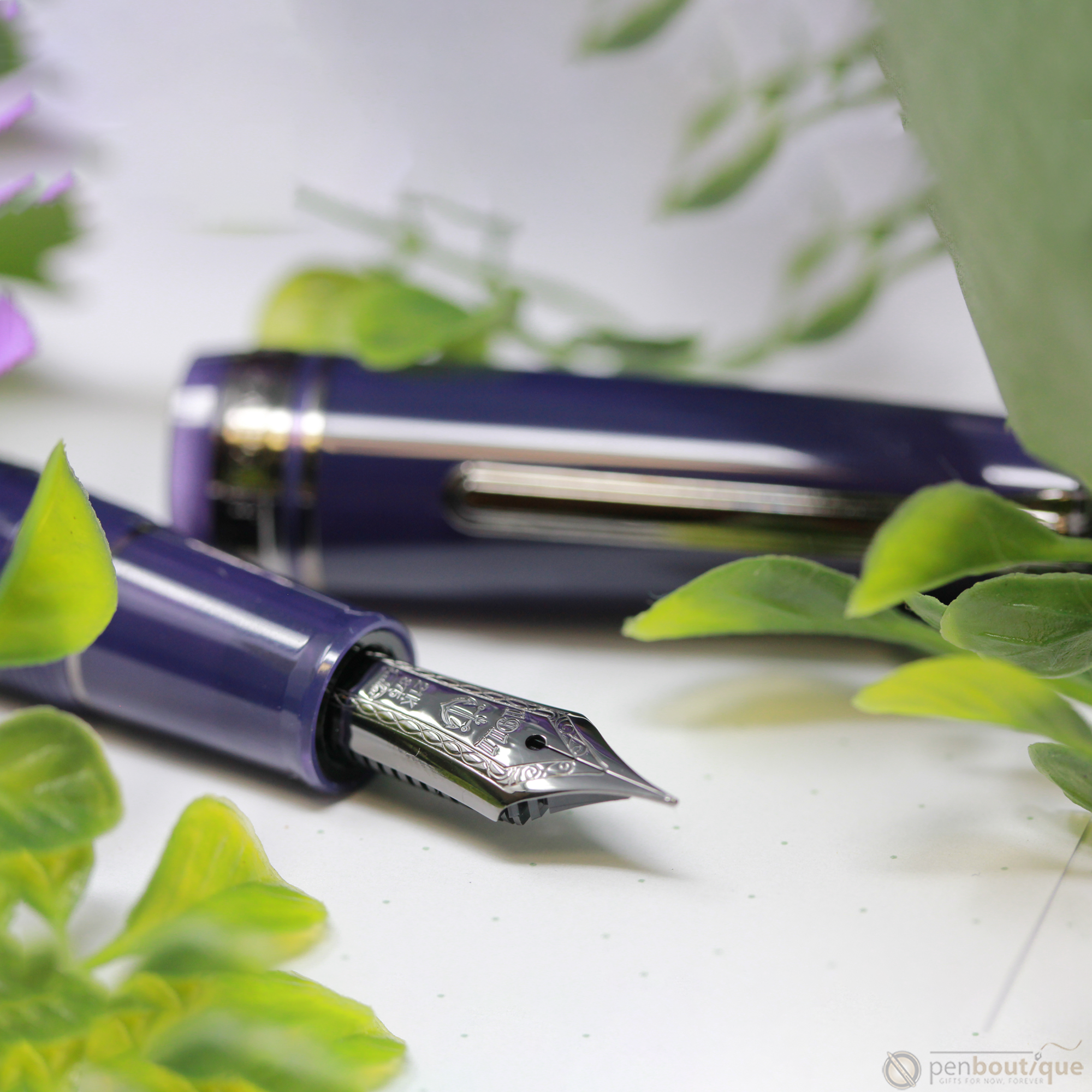 Sailor 1911S Standard Fountain Pen - Wicked Witch of the West (North America Exclusive)-Pen Boutique Ltd