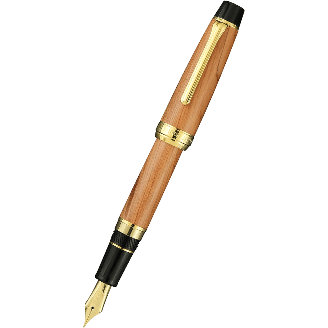 Sailor Fountain Pen - Commemorative - Hiroshima Factory (Bespoke Dealer Special)-Pen Boutique Ltd
