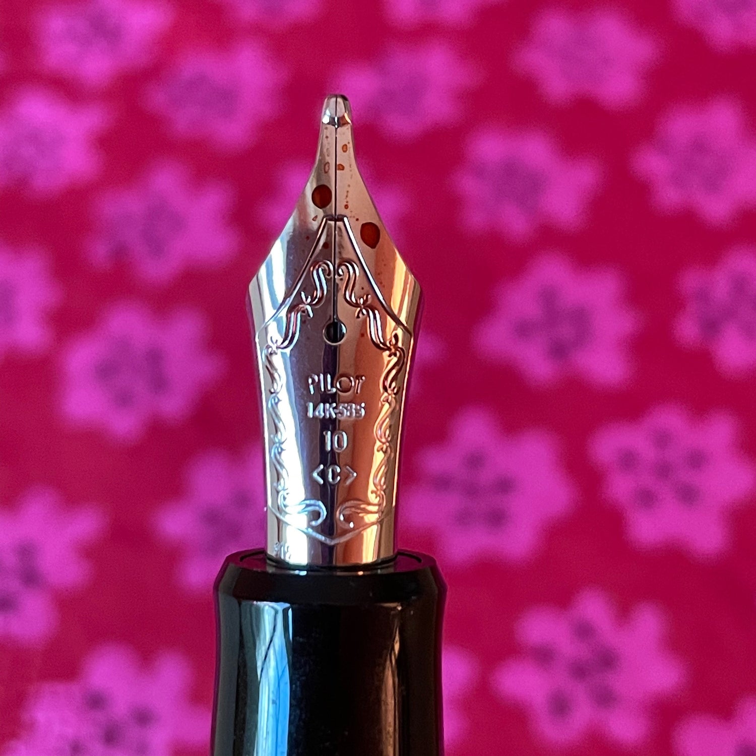 A Pilot Pen Geek's Dream - Comparing all 15 Nib Options!