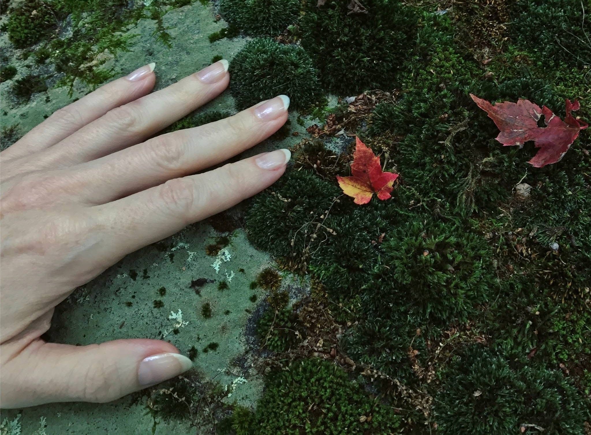 Changing Seasons, Reliable Pens -- Laura's Fall Favorites