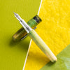 Conklin 1898 Fountain Pen - Stabilized Wood Matte Green - Steel Nib (Limited Edition) - Pen Boutique Ltd