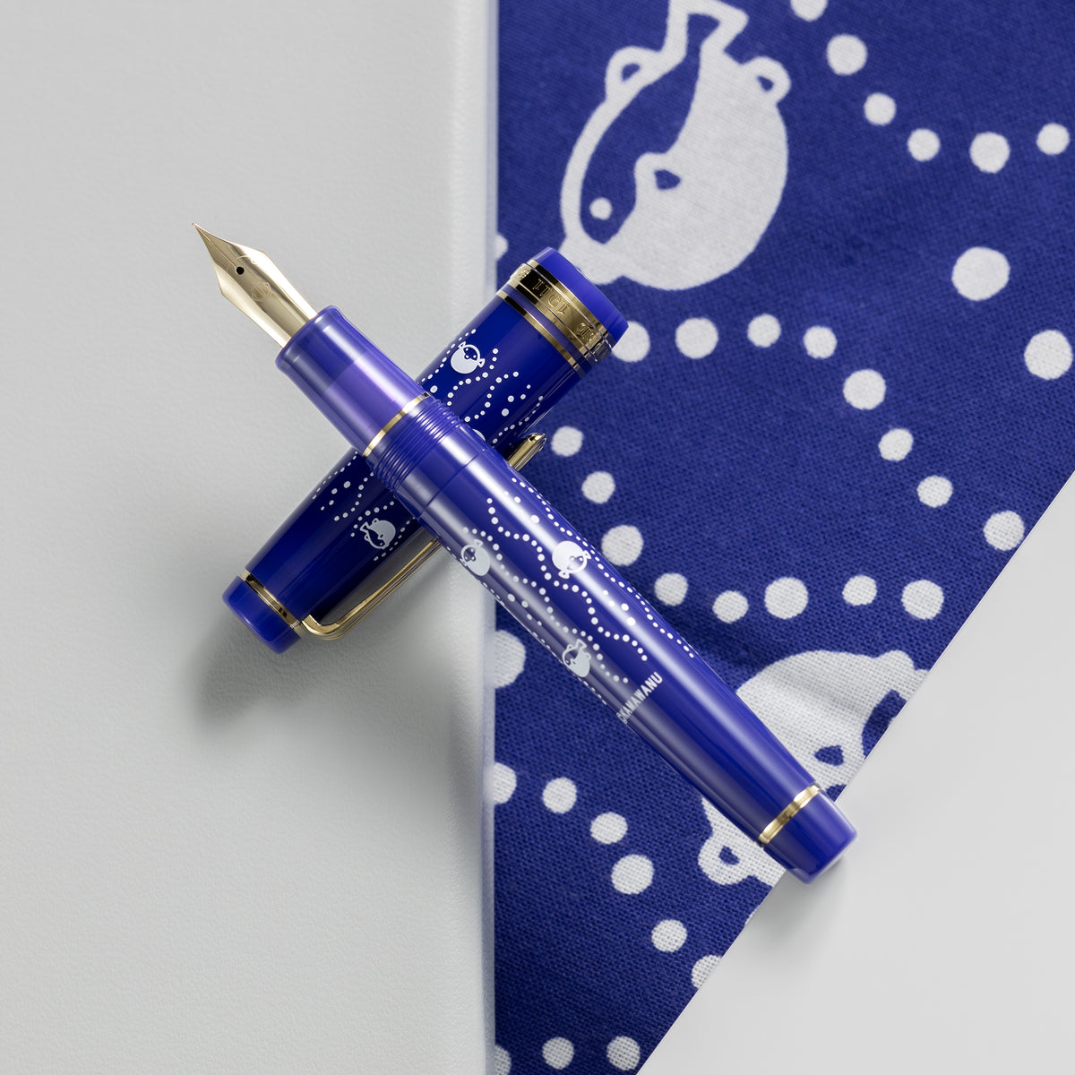 Sailor x KAMAWANU Professional Gear Standard Fountain Pen - Fugu-Tatewaku (Limited Edition) - Pen Boutique Ltd