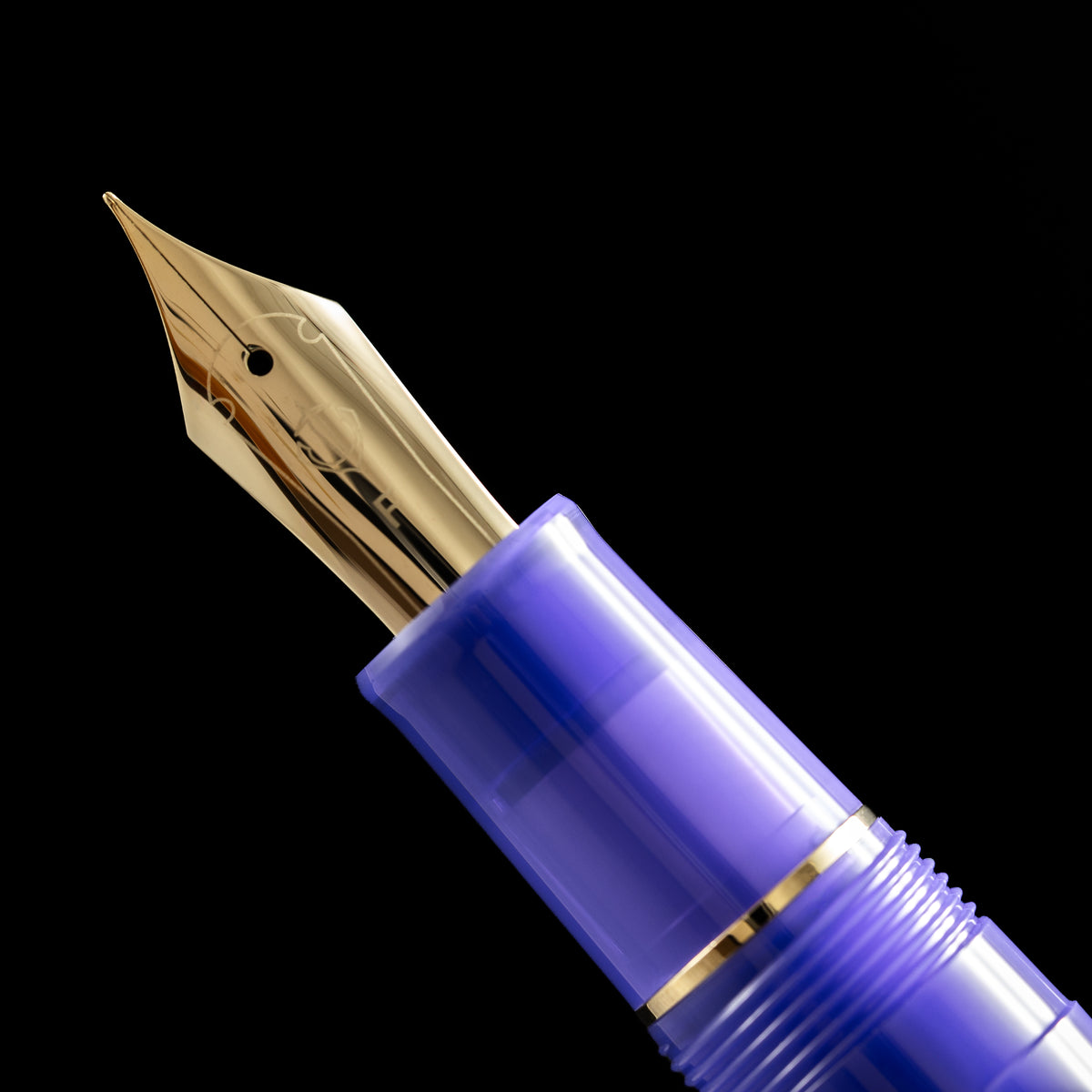 Sailor x KAMAWANU Professional Gear Standard Fountain Pen - Fugu-Tatewaku (Limited Edition) - Pen Boutique Ltd