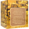 Ferris Wheel Press FerriTales Ink Bottle - Age of Aurum - 20ml-Pen Boutique Ltd