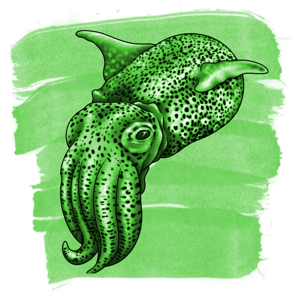 Anderillium Cephalopod Ink - Bobtail Squid Green - 1.5 oz-Pen Boutique Ltd