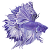 Anderillium Inks – Ichthyoformes Series - Fountain Pen Ink (1.5 oz)-Pen Boutique Ltd