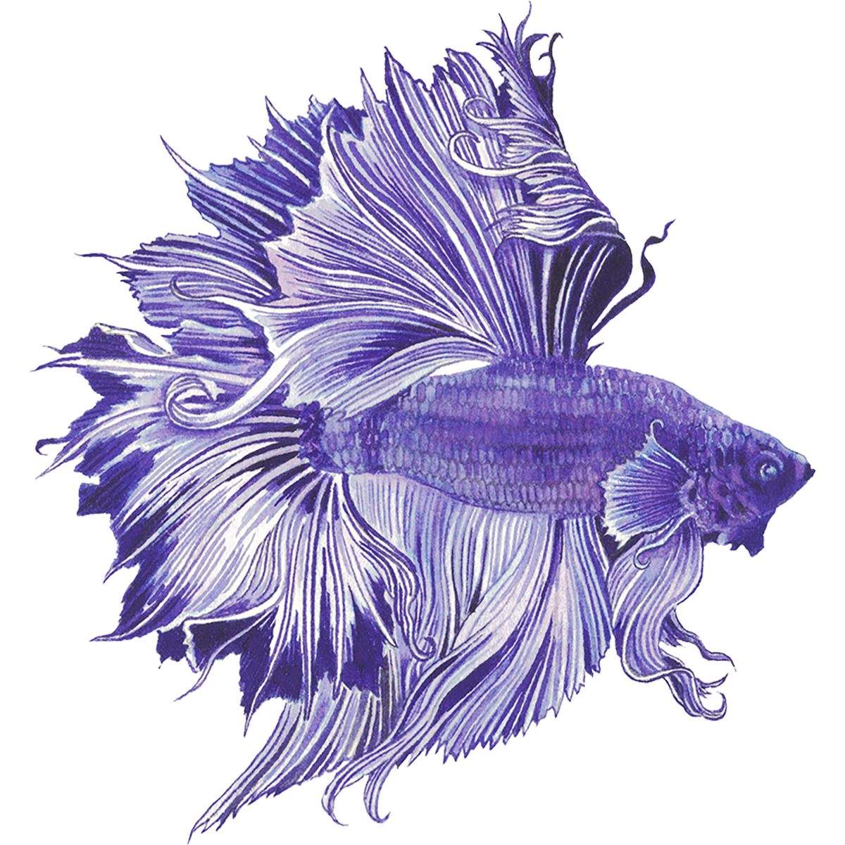 Anderillium Inks – Ichthyoformes Series - Fountain Pen Ink (1.5 oz)-Pen Boutique Ltd