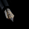 Delta Indigenous People Fountain Pen - Simbu Dancing Skeletons - Black - Silver Cage (Limited Edition)-Pen Boutique Ltd