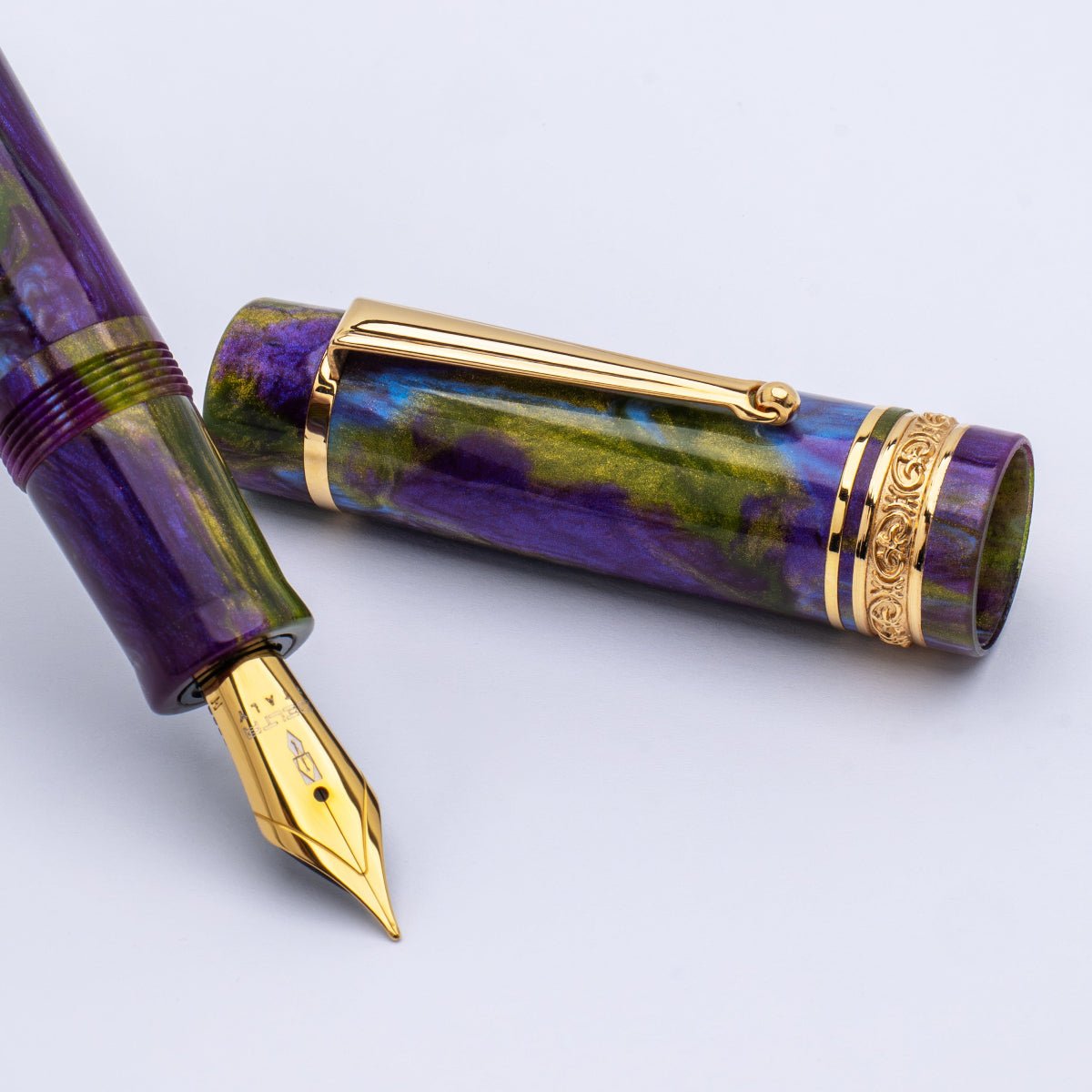 Delta Limited Edition Fountain Pen - DV 2.0 - Wisteria Walk - Gold Trim (Oversize) - Pen Boutique Ltd