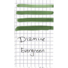 Diamine Evergreen Ink Bottle - 80ml-Pen Boutique Ltd