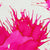Diamine Hope Pink Ink Bottle - 80 ml-Pen Boutique Ltd