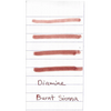 Diamine Ink Bottle - Burnt Sienna - 80 ml-Pen Boutique Ltd