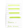 Diamine Jade Green Ink Bottle - 80 ml-Pen Boutique Ltd