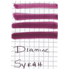 Diamine Syrah Ink Bottle - 80ml-Pen Boutique Ltd