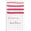 Diamine Vermillion Ink Bottle - 80 ml-Pen Boutique Ltd