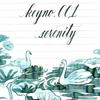 Dominant Industry Standard Ink Bottle - Serenity Key No. 001 - 25ml (Limited Edition)-Pen Boutique Ltd